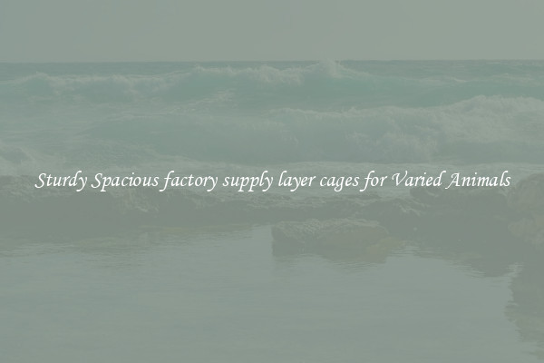 Sturdy Spacious factory supply layer cages for Varied Animals