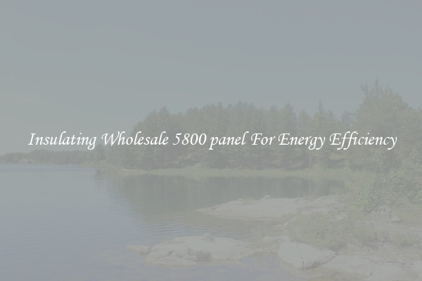 Insulating Wholesale 5800 panel For Energy Efficiency