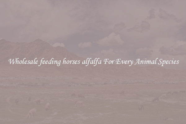 Wholesale feeding horses alfalfa For Every Animal Species