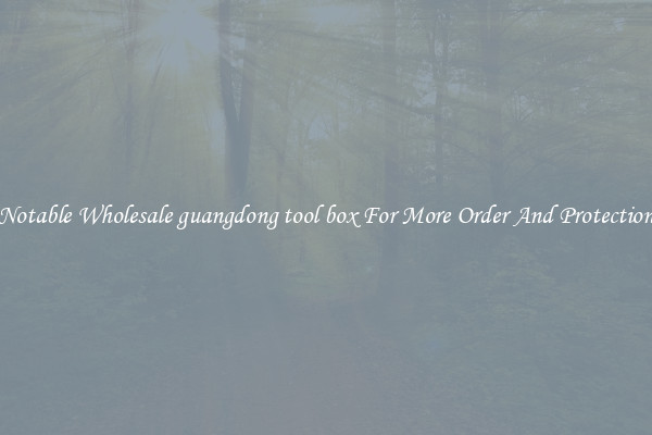 Notable Wholesale guangdong tool box For More Order And Protection