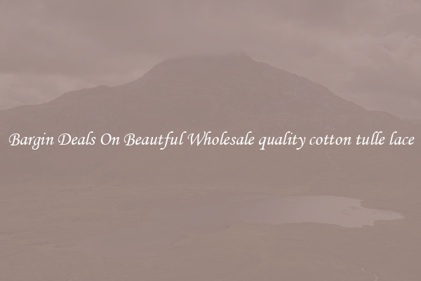 Bargin Deals On Beautful Wholesale quality cotton tulle lace