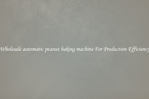 Wholesale automatic peanut baking machine For Production Efficiency