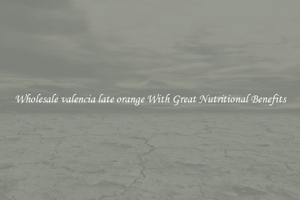 Wholesale valencia late orange With Great Nutritional Benefits