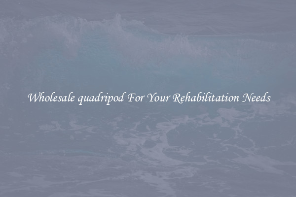 Wholesale quadripod For Your Rehabilitation Needs