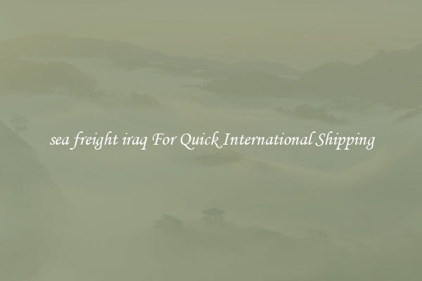 sea freight iraq For Quick International Shipping