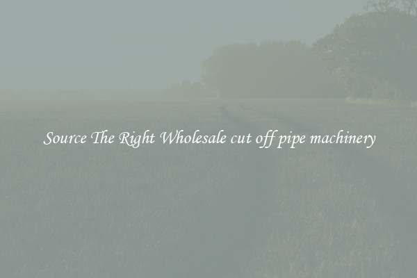 Source The Right Wholesale cut off pipe machinery