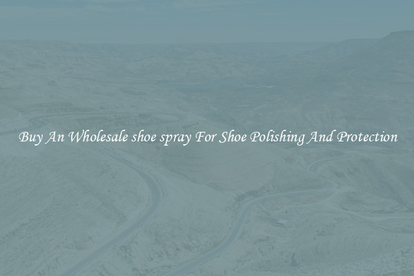 Buy An Wholesale shoe spray For Shoe Polishing And Protection