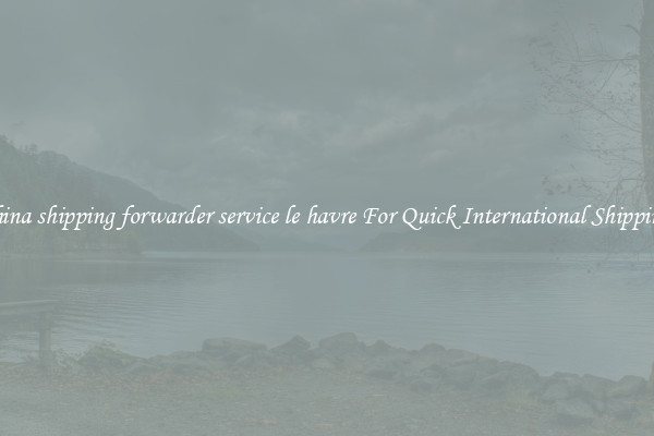 china shipping forwarder service le havre For Quick International Shipping