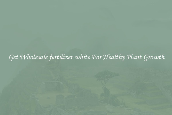 Get Wholesale fertilizer white For Healthy Plant Growth