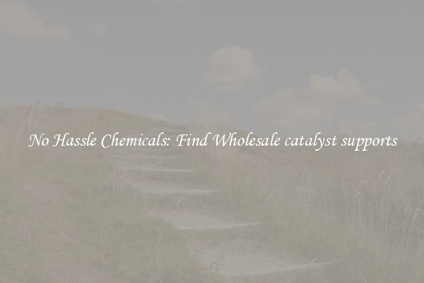 No Hassle Chemicals: Find Wholesale catalyst supports