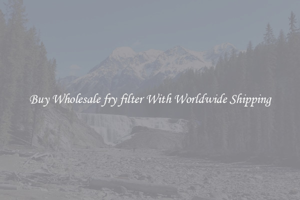  Buy Wholesale fry filter With Worldwide Shipping 
