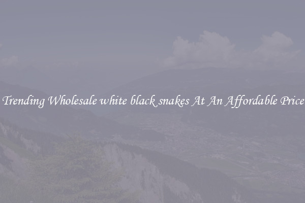 Trending Wholesale white black snakes At An Affordable Price