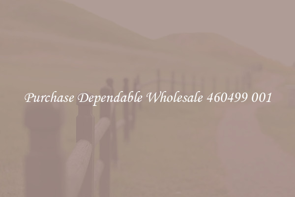 Purchase Dependable Wholesale 460499 001