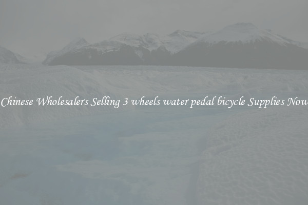 Chinese Wholesalers Selling 3 wheels water pedal bicycle Supplies Now
