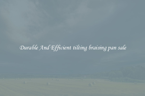 Durable And Efficient tilting braising pan sale