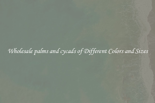 Wholesale palms and cycads of Different Colors and Sizes
