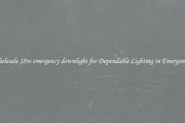 Wholesale 18w emergency downlight for Dependable Lighting in Emergencies