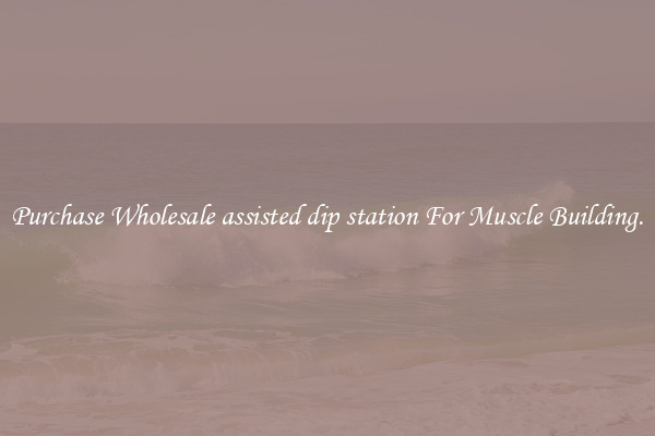 Purchase Wholesale assisted dip station For Muscle Building.