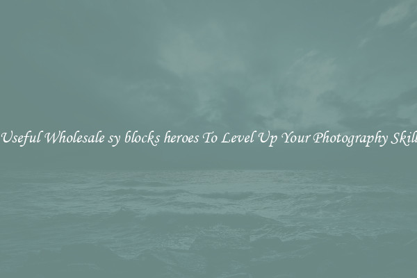 Useful Wholesale sy blocks heroes To Level Up Your Photography Skill